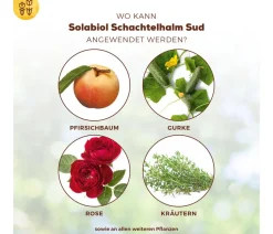 Solabiol Spezialdünger - ® Schachtelhalm Sud, 1 l