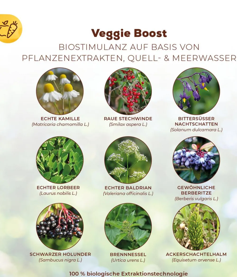 Solabiol ® Veggie Boost, flüssig, 250 ml New