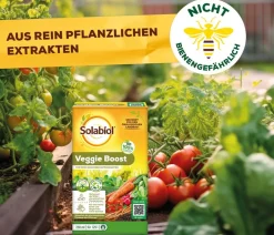 Solabiol ® Veggie Boost, flüssig, 250 ml New