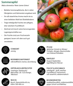Dehner Sommerapfel 'er James Grieve' Rot