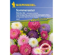 Nebelung/Kiepenkerl Blumensamen > Sommeraster Standy Mix, Saatgut von Kiepenkerl