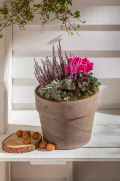 Spang Terrakotta-Pflanzgefäß Calima Braun Online