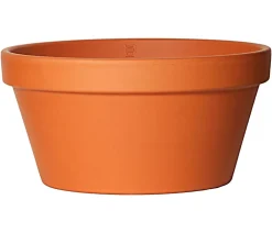 Spang -Schale Cultivo, rund Terrakotta Sale