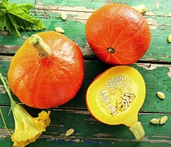Dehner Gartengemüse|Melonen- & Kürbispflanzen > Speisekürbis 'Hokkaido'