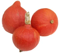 Dehner Gartengemüse|Melonen- & Kürbispflanzen > Speisekürbis 'Hokkaido'