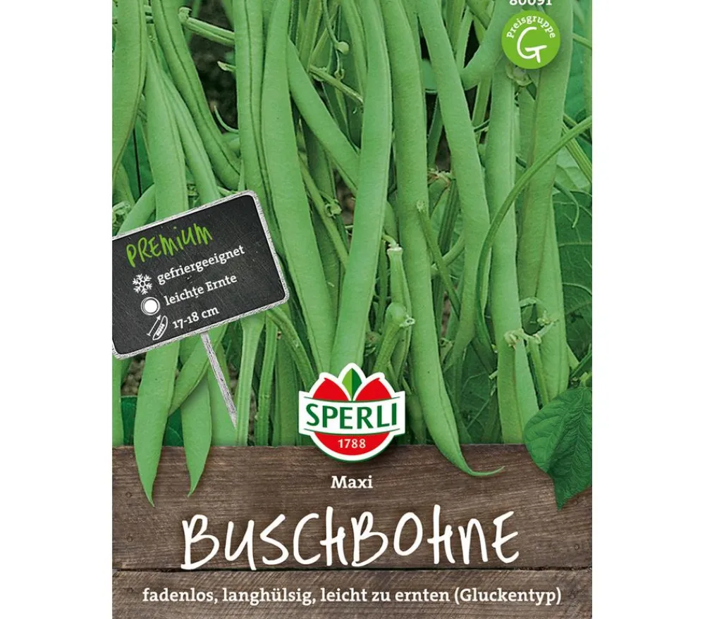 SPERLI Gemüsesamen > Samen Buschbohne 'Maxi'