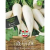 SPERLI Samen Rettich 'Rex' New