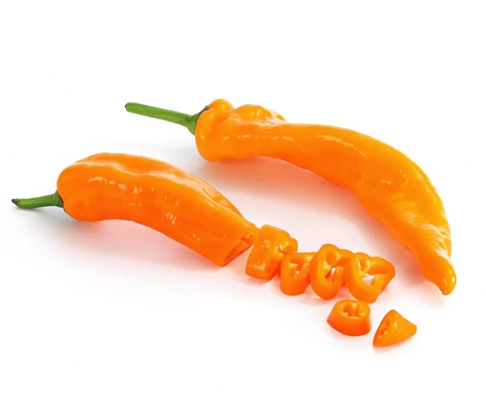 Dehner Peperoni- & Paprikapflanzen - Spitzpaprika, Orange