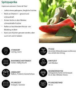 Dehner Spitzpaprika, Rot