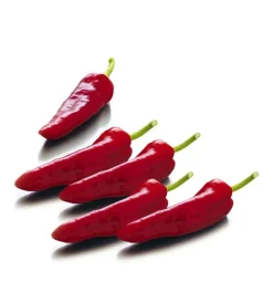 Dehner Spitzpaprika, Rot