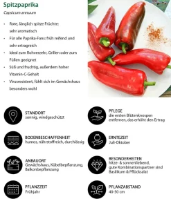 Dehner Peperoni- & Paprikapflanzen > Spitzpaprika,
