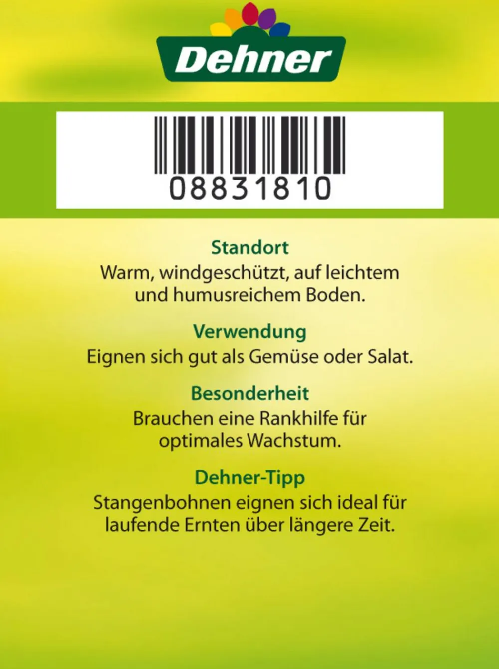 Dehner Gartengemüse - Stangenbohne Grün