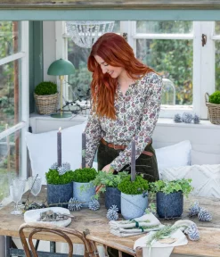 Dehner Grabschmuck & Grabgestaltung|Laubgehölze > Strauchveronika 'Green Globe'