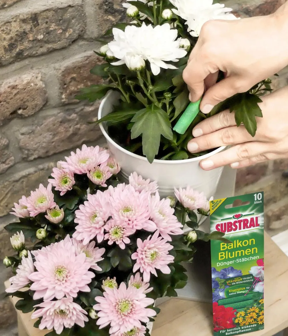 Substral® Dünger-Stäbchen für Balkonblumen, 10 Stk. Outlet