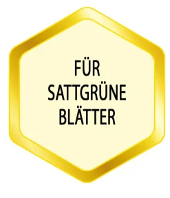 Substral® Eisendünger, flüssig, 250 ml Hot