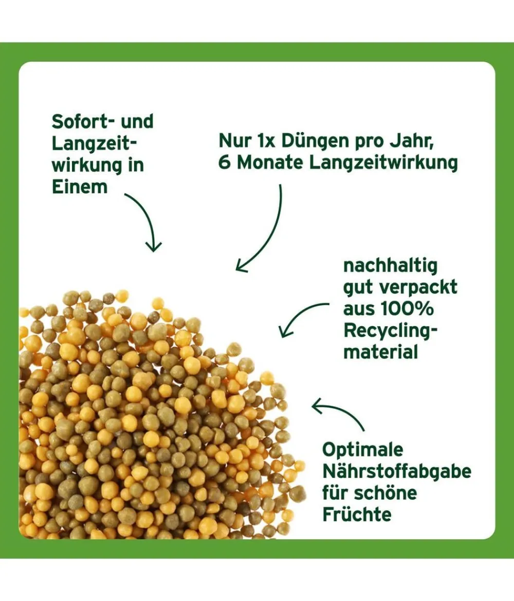 Substral® Obst- & Gemüsedünger - Langzeit Depotdünger für Zitrus- & mediterrane Pflanzen, 750 g