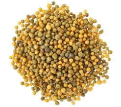 Substral® Blumendünger > Langzeit Depotdünger Balkonblumen