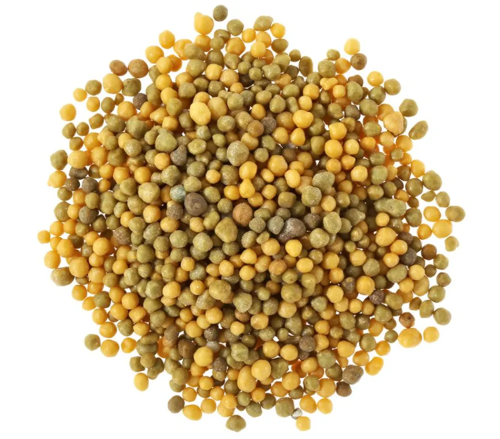 Substral® Blumendünger > Langzeit Depotdünger Balkonblumen