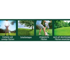Substral® Magisches Rasen-Pflaster Clearance