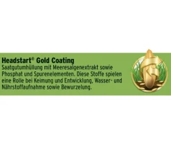 Substral® Magisches Rasen-Pflaster Clearance