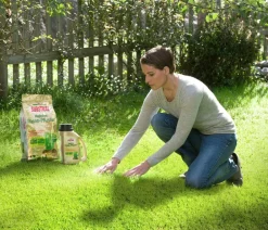 Substral® Magisches Rasen-Pflaster Clearance