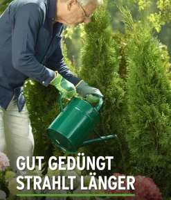 Substral® Spezialdünger > Thuja-Vital, flüssig, 500 ml