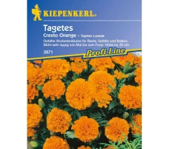 Nebelung/Kiepenkerl Blumensamen - Tagetes Cresto , Saatgut von Kiepenkerl Orange
