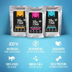 Tales & Tails Nassfutter Hund > Paté-Nassfutter für Hunde Ohne Flachs mit Lachs,