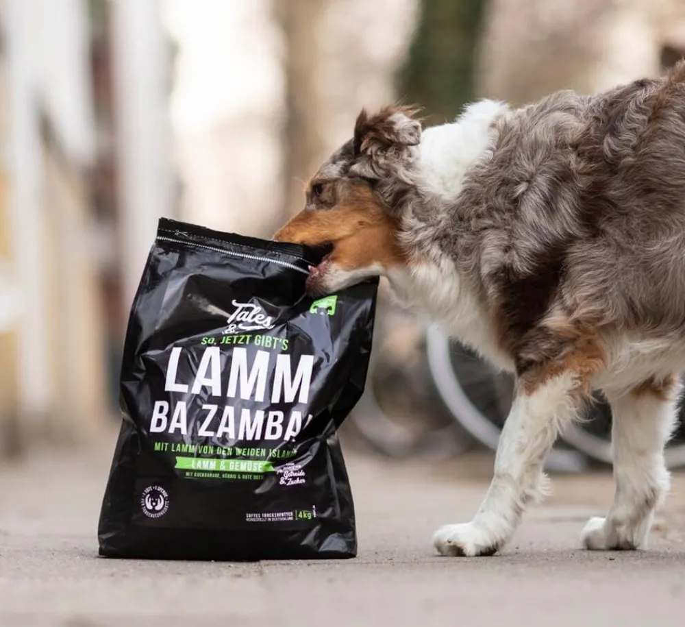 Tales & Tails Trockenfutter Hund > Soft-Trockenfutter für Hunde LammBa Zamba