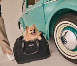 Tavo Hundetransportboxen > Autositz & Transporttasche Hendrick, ca. B34,5/H38/T54,5 cm