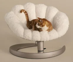 Tavo Hundebetten & Körbe - schwingendes Haustierbett Shell, ca. B78,5/H43-57/T66-73 cm Creme