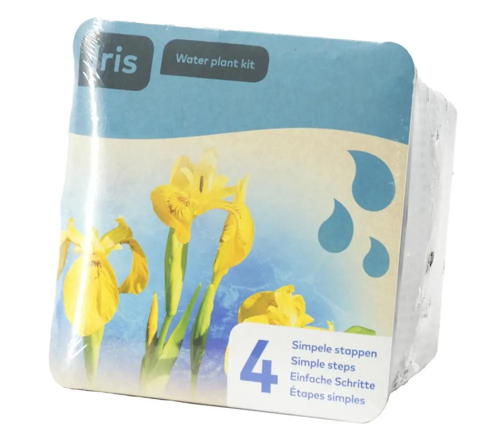 Dehner Aqua Gartenteich·TeichPflanzen|Teichpflanzen - Teichpflanzen Komplett-Set Iris, 6-teilig Gelb