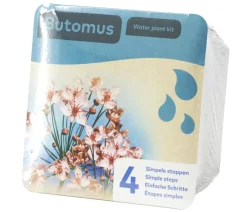 Dehner Aqua Gartenteich·TeichPflanzen|Teichpflanzen - Teichpflanzen Komplett-Set Schwanenblume, 6-teilig Rosa