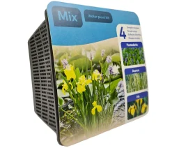 Dehner Aqua Gartenteich·Teich­­Pflanzen|Teichpflanzen > Teichpflanzen Komplett-Set Vielfalt, 6-teilig