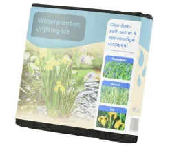Dehner Aqua Gartenteich·Teich­­Pflanzen|Teichpflanzen > Teichpflanzen Komplett-Set Vielfalt, 6-teilig