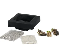 Dehner Aqua Gartenteich·Teich­­Pflanzen|Teichpflanzen > Teichpflanzen Komplett-Set Vielfalt, 6-teilig