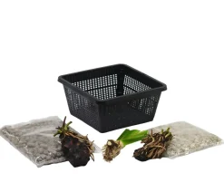Dehner Aqua Gartenteich·Teich­­Pflanzen|Teichpflanzen > Terrassenteich-Set, 7-teilig