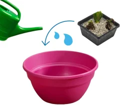 Dehner Aqua Gartenteich·Teich­­Pflanzen|Teichpflanzen > Terrassenteich-Set, 7-teilig