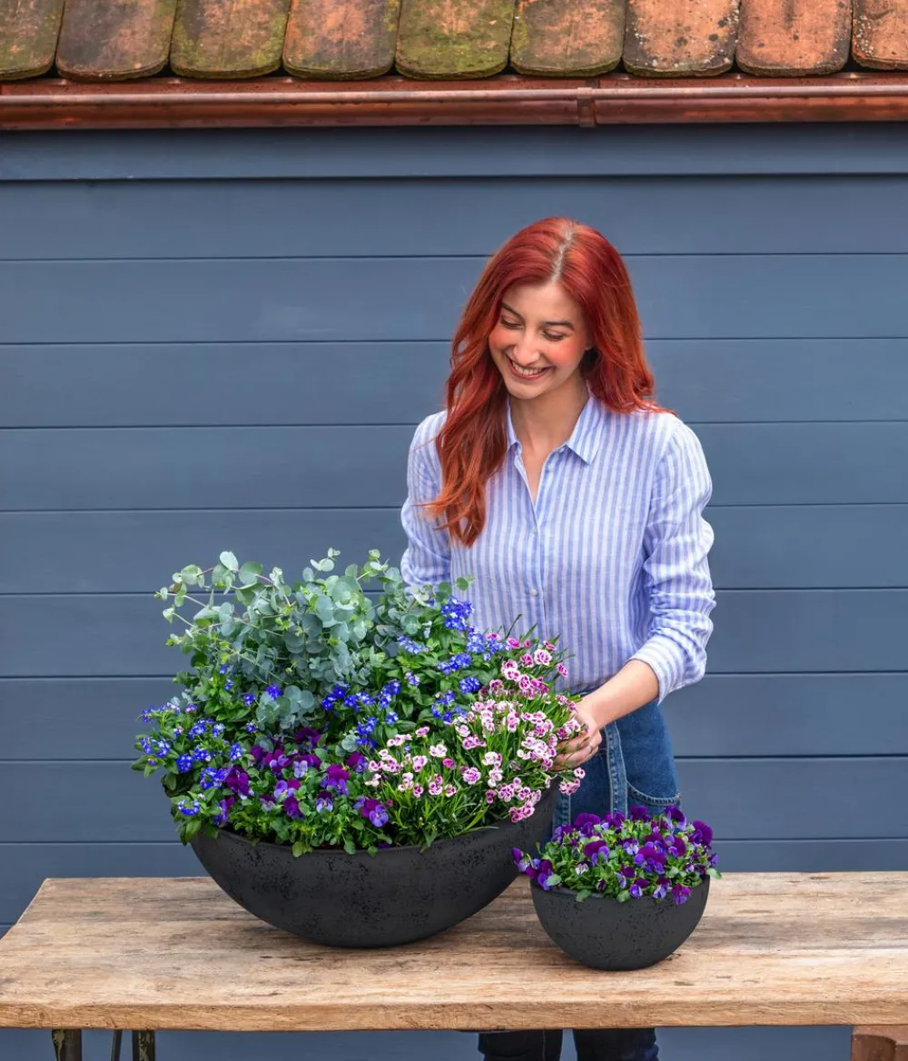 Ter Steege Blumenampeln & -Schalen - Kunststoff-Schale Nova, rund Anthrazit