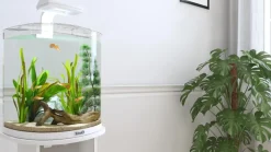 Tetra Einsteiger Aquarien - AquaArt LED Explorer-Line Crayfish, , 30 l Weiß