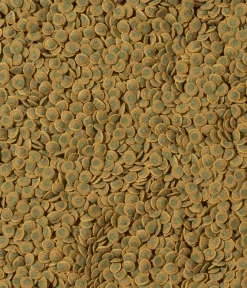 Tetra Fischfutter > Fischfutter Pleco VeggieWafers