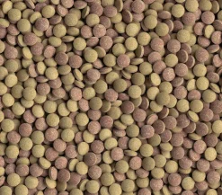 Tetra Fischfutter Tablets TabiMin Clearance