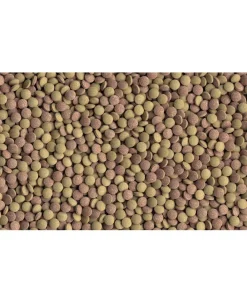 Tetra Fischfutter - Fischfutter Tablets TabiMin
