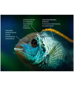 Tetra Fischfutter - Fischfutter Pro Colour Multi-Crisps