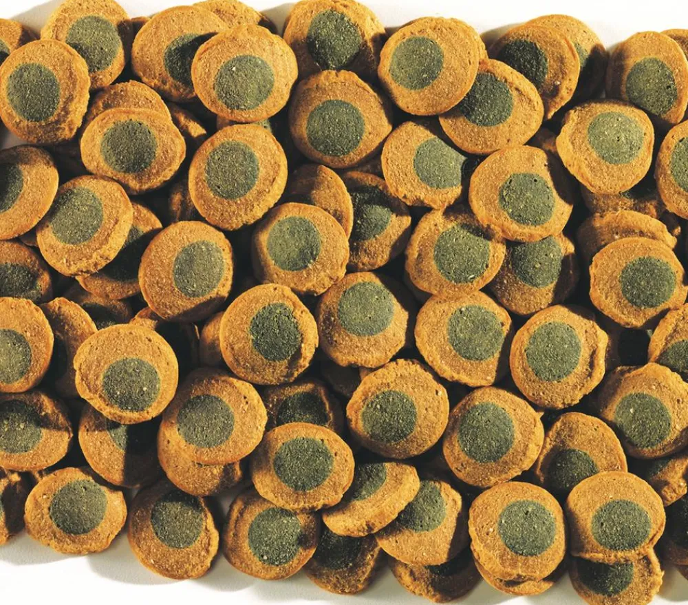 Tetra Fischfutter > Pleco SpirulinaWafers, 250 ml