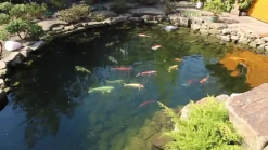 Tetra Gartenteich·Teichfisch­­Futter|Teichfischfutter - Pond Sticks, Fischfutter