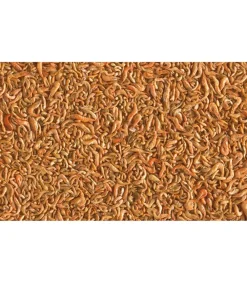 Tetra Gartenteich·Teichfisch­­Futter|Teichfischfutter > Pond Teichfischsnack Shrimp Mix