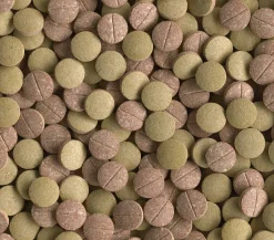 Tetra Fischfutter > Tablets TabiMin XL, 133 Tabletten