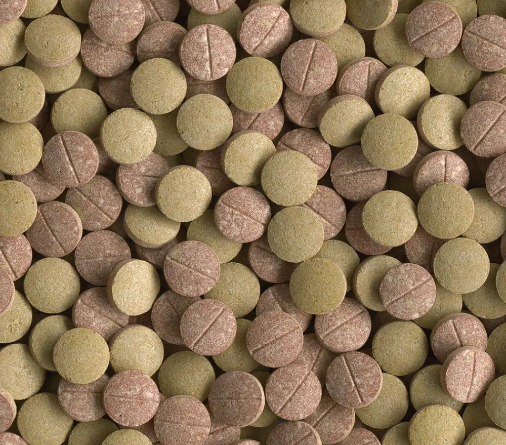 Tetra Fischfutter > Tablets TabiMin XL, 133 Tabletten