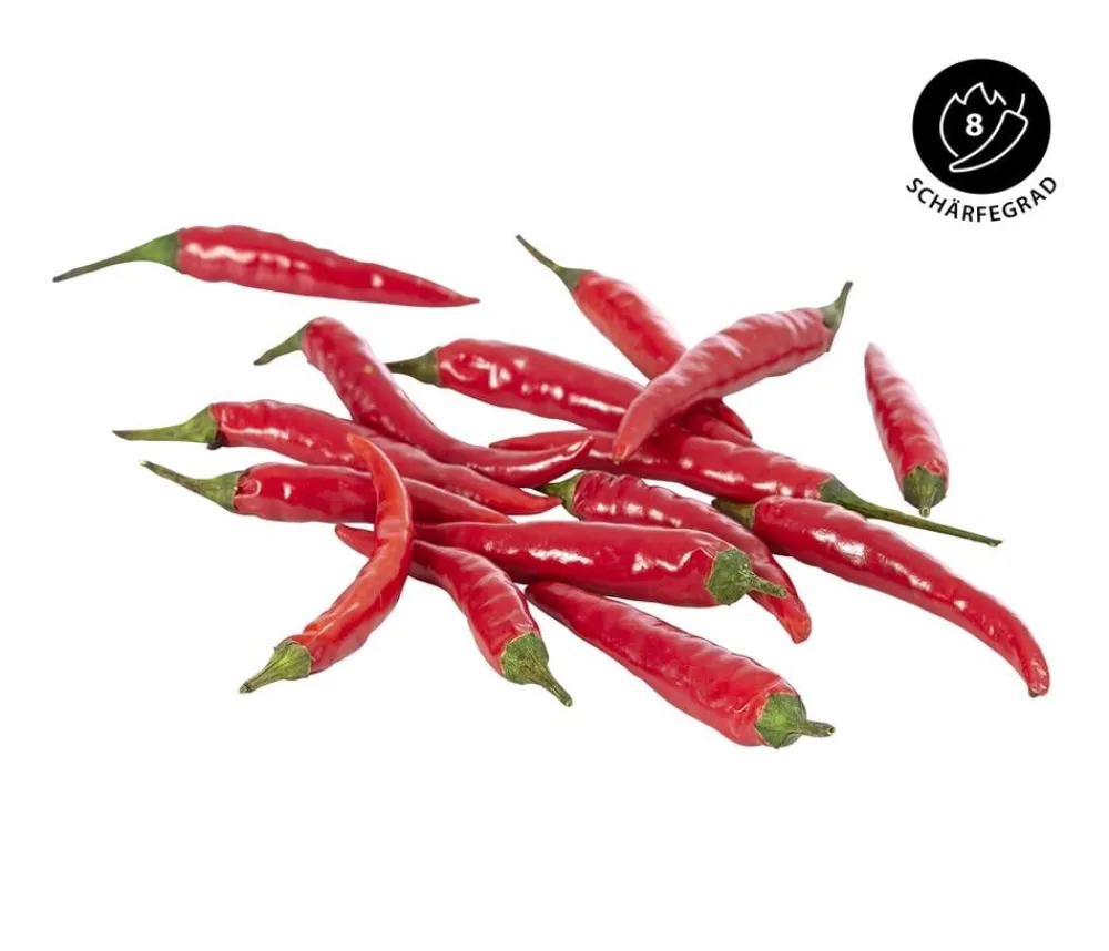 Dehner Peperoni- & Paprikapflanzen > Thaichili,